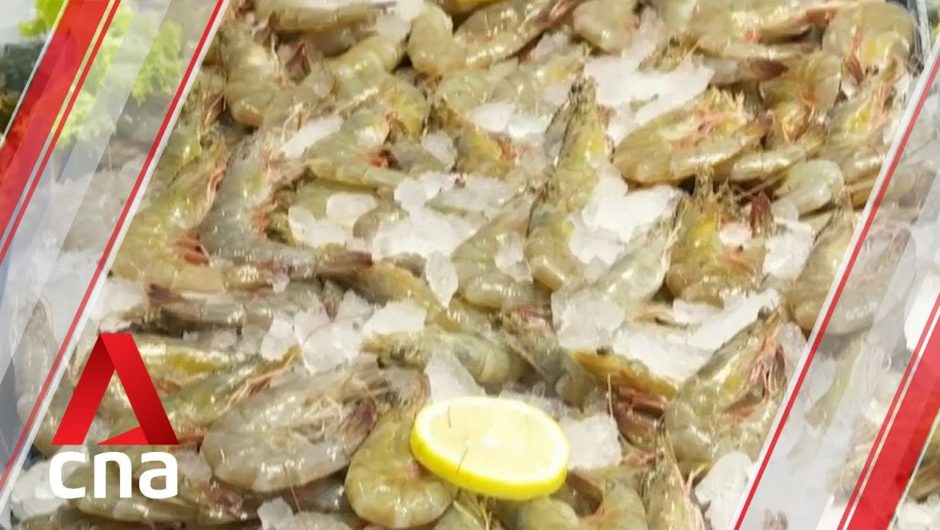 Singapore adds shrimps from Saudi Arabia to list of imported food
