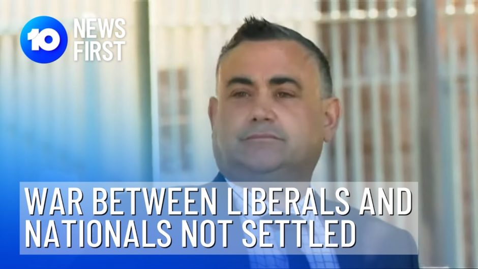 NSW Coalition Warring Over Port Macquarie After Koala Bust-Up | 10 News First