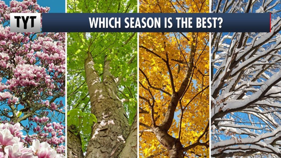 Which Season Is Best?
