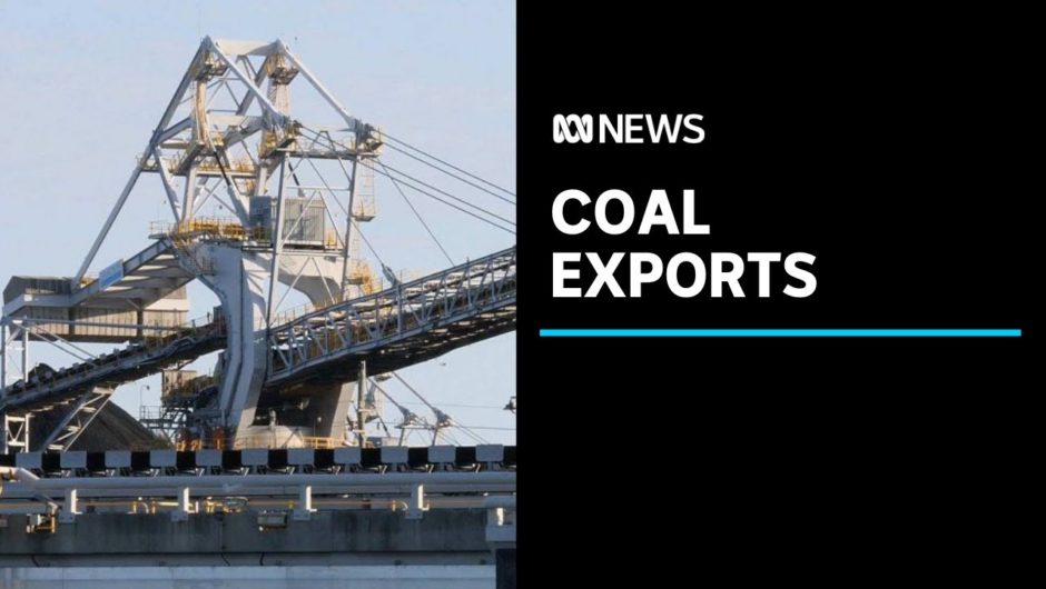 What's at stake if China bans Australian coal? | ABC News