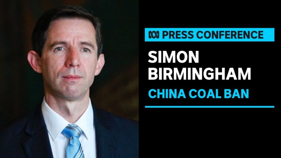 Trade Minister responds to reported Chinese ban on Australian coal imports | ABC News