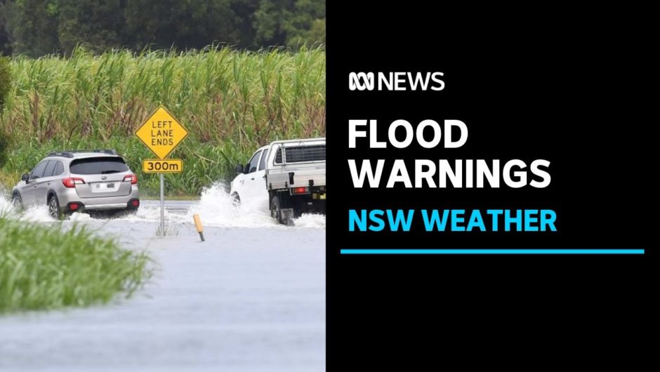Flood warnings remain in place in northern NSW as thunderstorms set for Sydney | ABC News