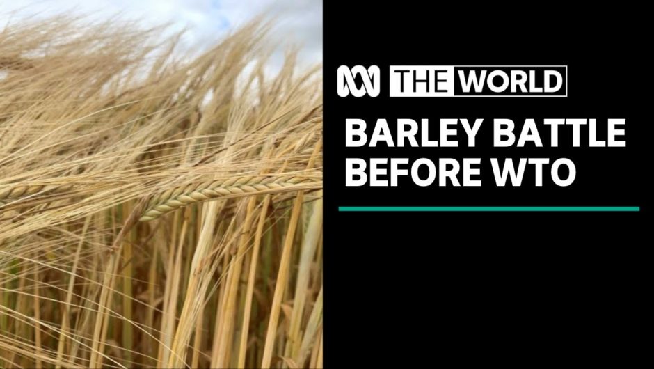 Australia taking trade dispute with China to WTO a "sensible approach" | The World