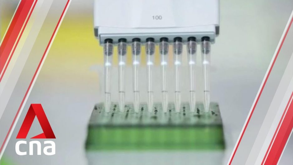 COVID-19 vaccination will be voluntary, free for Singaporeans and long-term residents