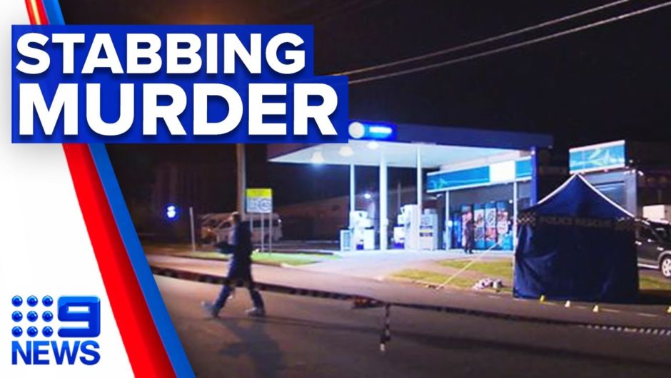 Man stabbed while walking dog | 9 News Australia