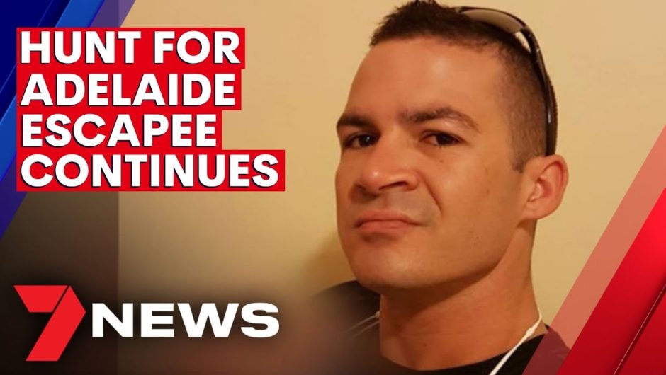 South Australian escapee spotted in Adelaide | 7NEWS
