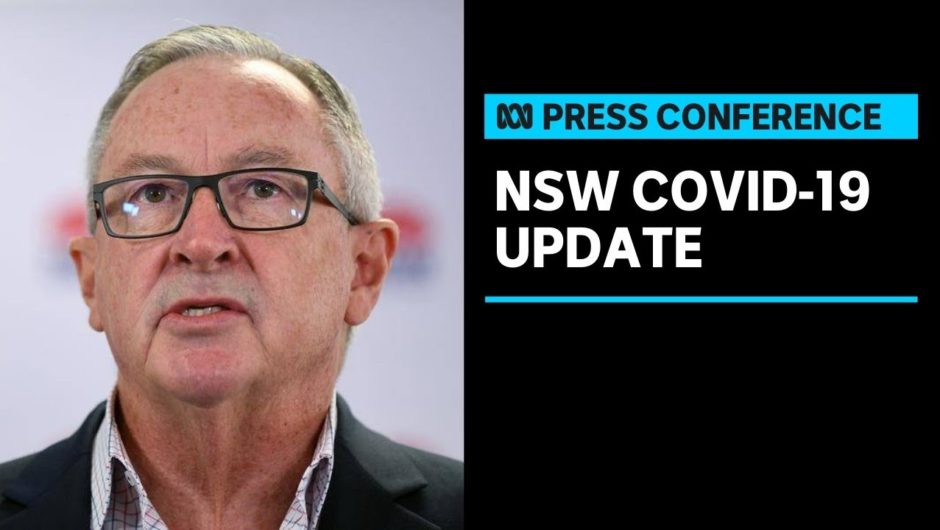 NSW Health Minister provides COVID-19 update after more cases recorded in Sydney's north | ABC News