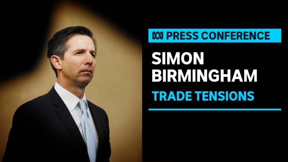 Australia to take China to WTO over trade dispute | ABC News