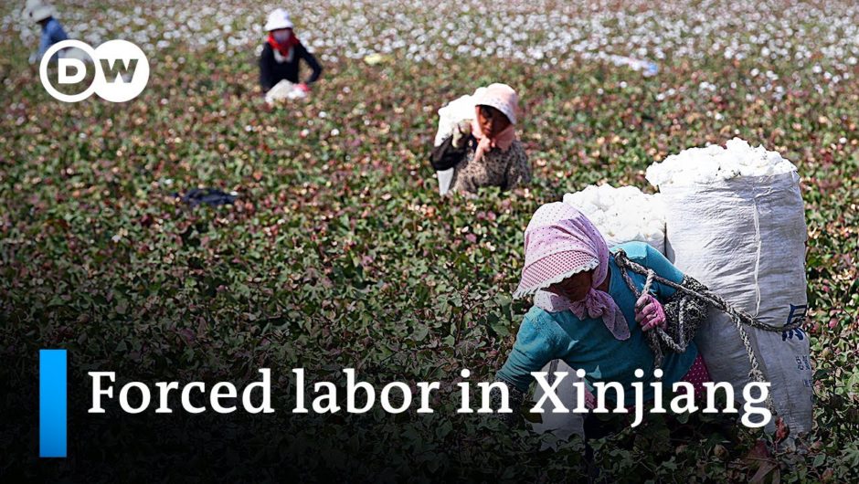 Xinjiang: New reports on detention and forced labor of China's ethnic minorities | DW News