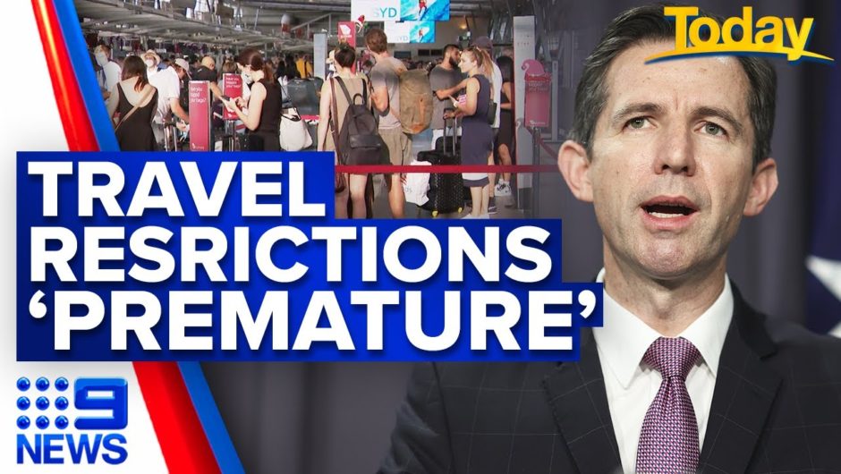 Coronavirus: Trade Minister calls travel restrictions on NSW 'premature' | 9 News Australia