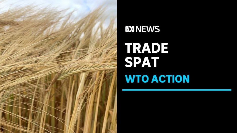 Australia refers China to the World Trade Organization over barley tariffs | ABC News