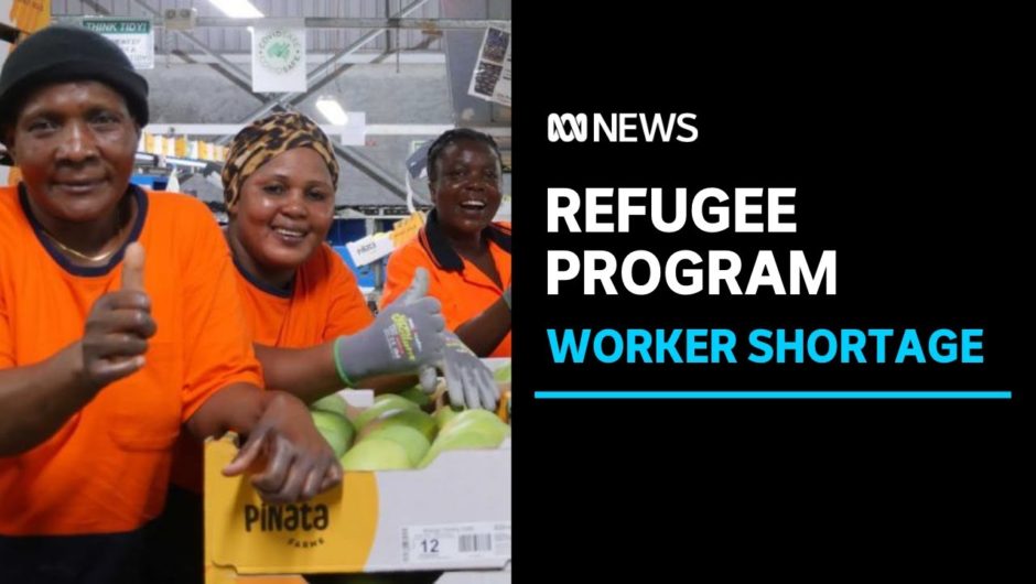 The COVID-19 crisis gives refugees fresh work opportunity | ABC News
