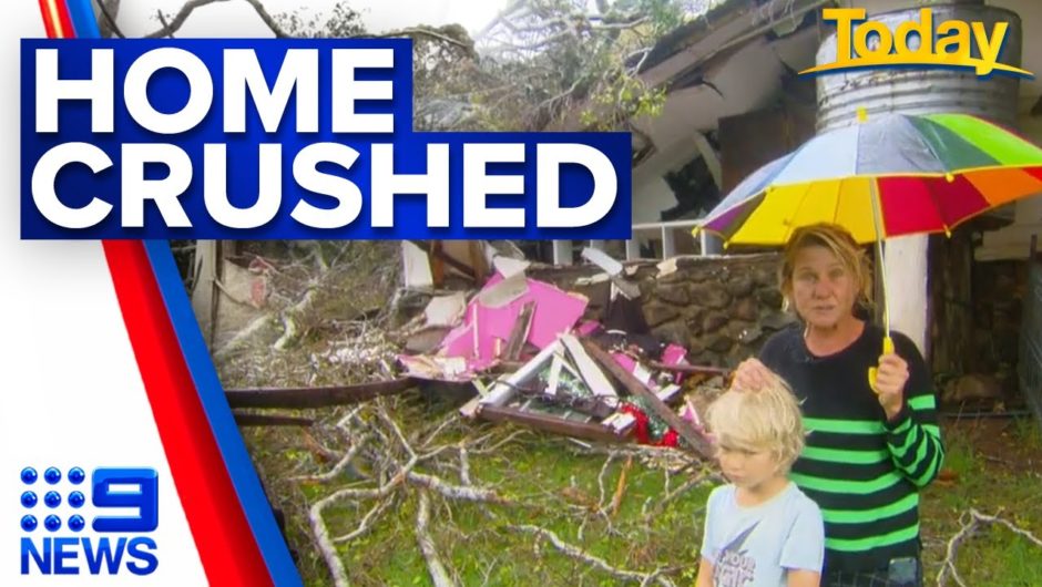 Wild storm drops tree on boy's bedroom | 9 News Australia