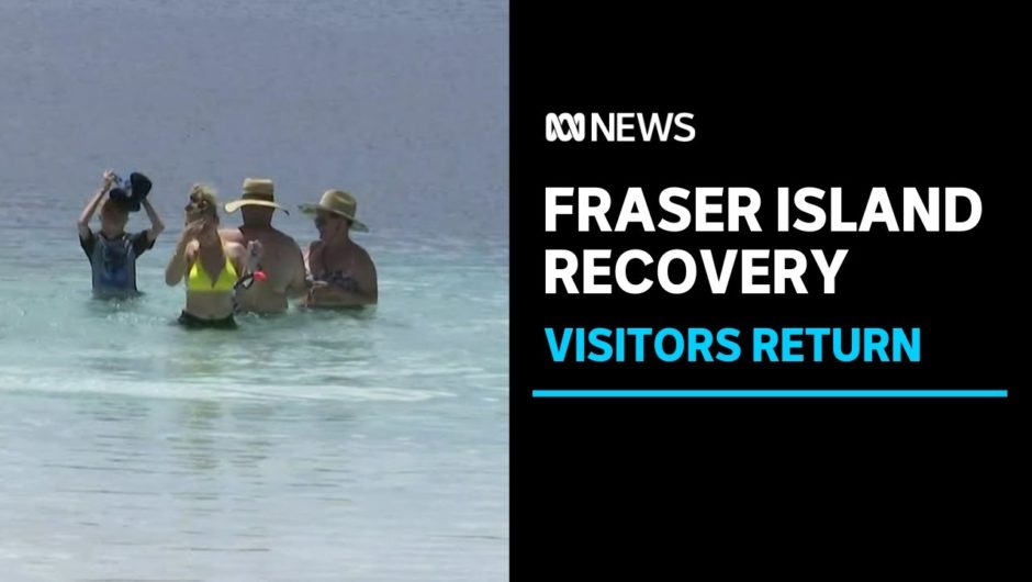 Tourists flock back to Fraser Island after rains dampen down bushfire-hit areas | ABC News