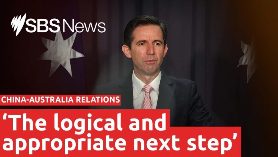 Australia brings in WTO to China trade battle | SBS News