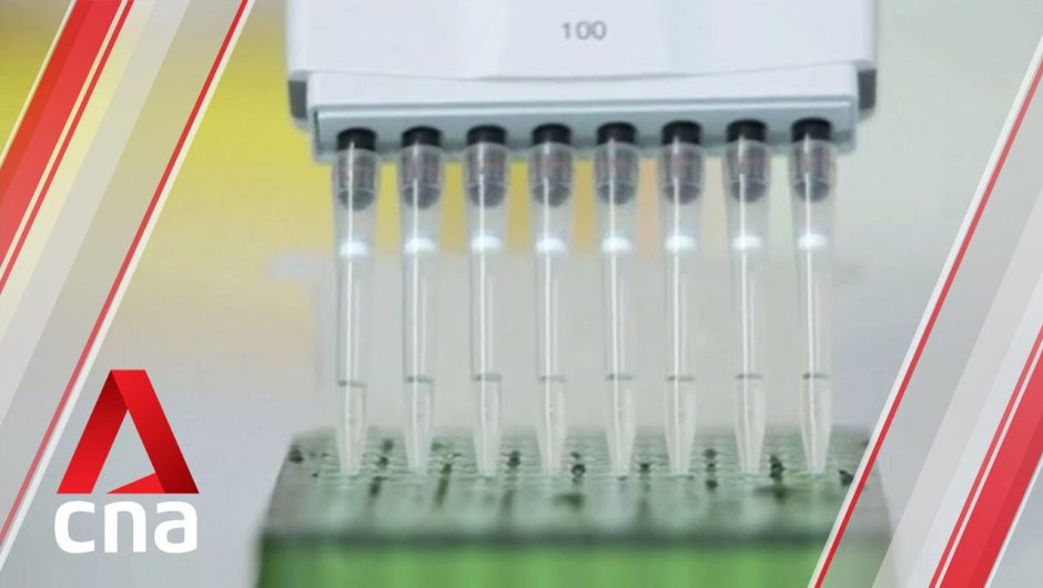 COVID-19: UK approves Pfizer-BioNTech vaccine for use