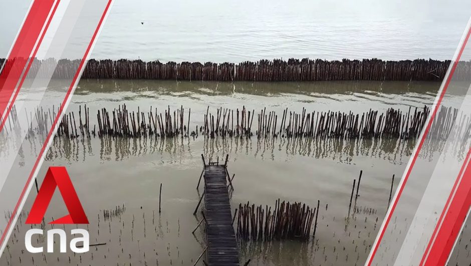 How salt water is killing durian crops and threatening livelihoods in the Gulf of Thailand