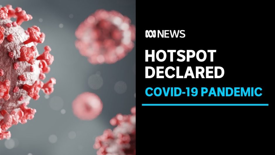 NT Government declares Sydney's Northern Beaches area a coronavirus hotspot | ABC News