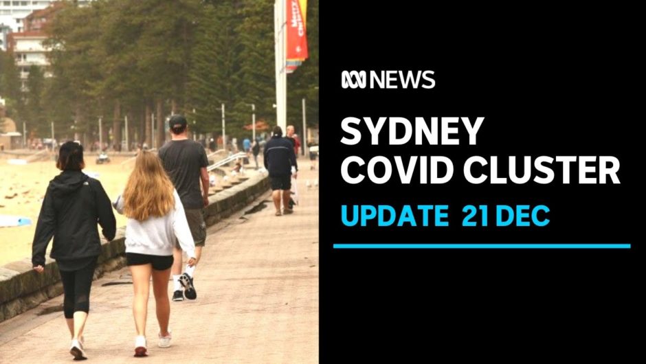 15 new COVID-19 cases linked to northern beaches cluster | ABC News