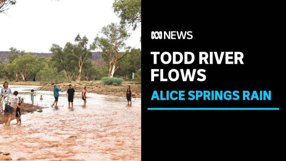 Rain in Central Australia turns the usually dry Todd River bed into a flowing waterway | ABC News