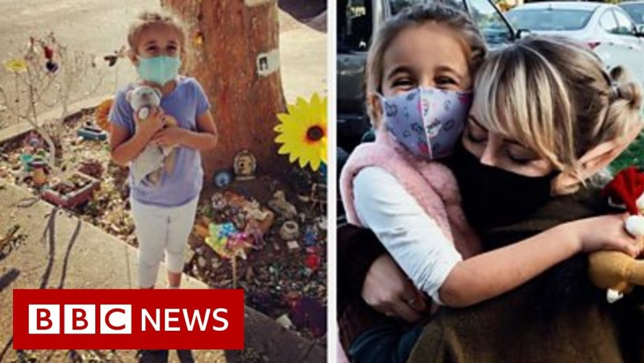 How a young girl's fairy house sparked a magical friendship – BBC News