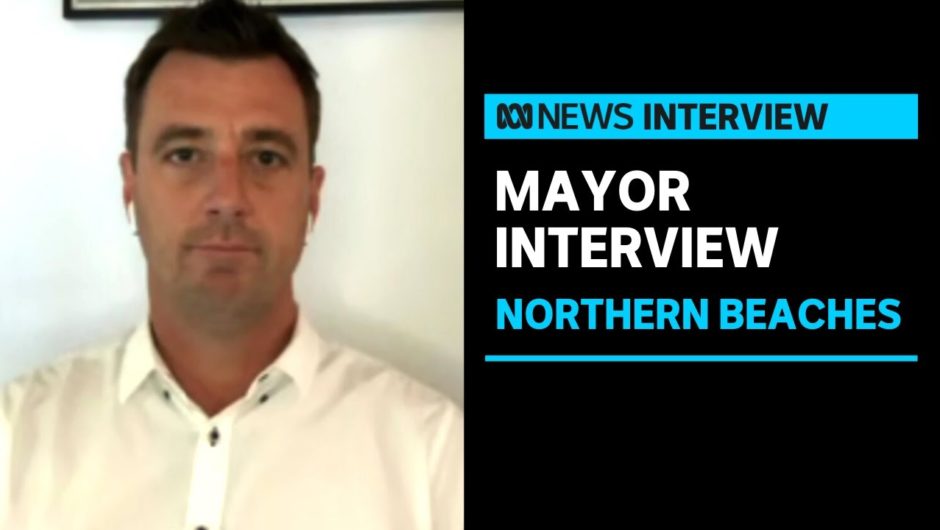 Northern beaches Mayor Michael Regan says the decision to split the area was surprising | ABC News