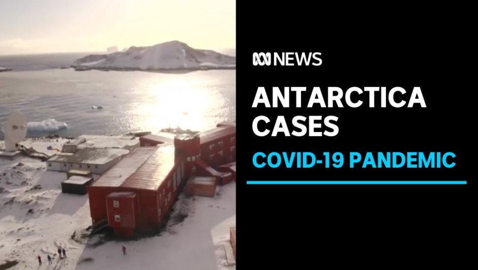 Coronavirus cases recorded in Antarctica at Chilean research station | ABC News