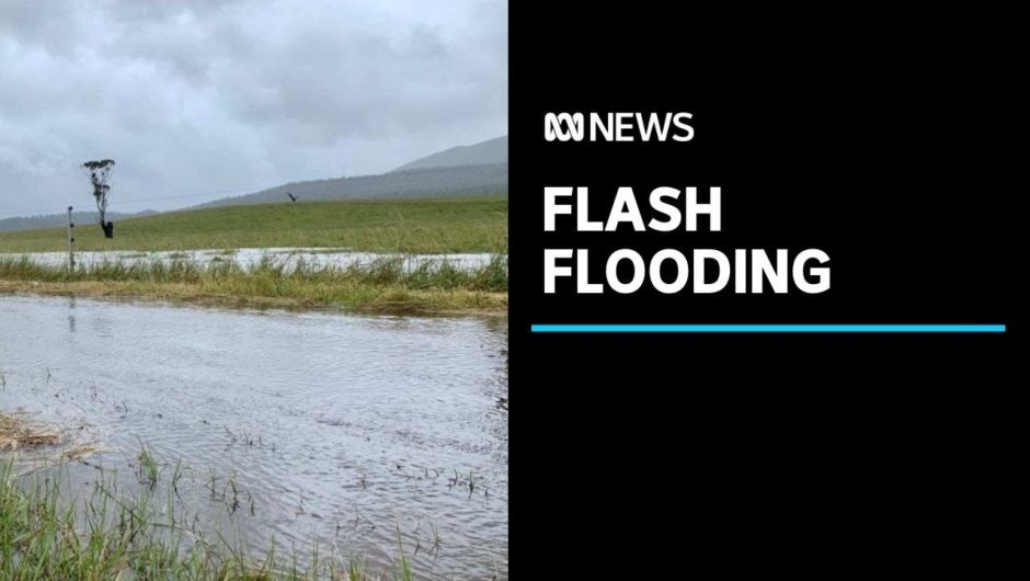 Heavy rain floods roads on Tasmania's east coast | ABC News