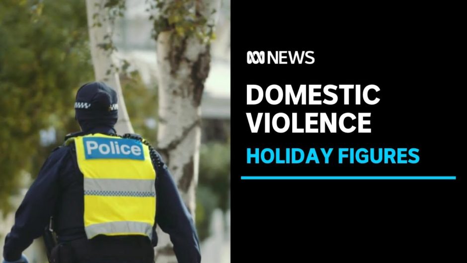 Crisis services bracing for spike in domestic violence cases over Christmas holidays | ABC News