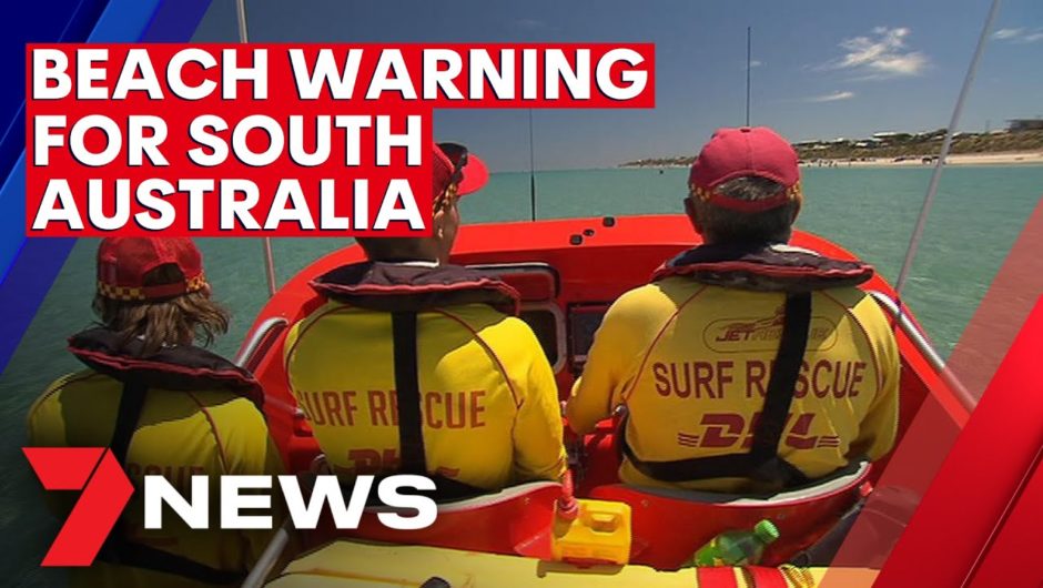 Shark warning for South Australian beachgoers over busy period | 7NEWS