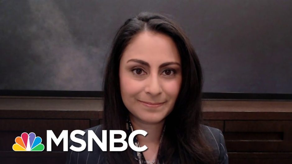 Dr. Celine Gounder On FDA Moderna Review, Pfizer Vaccine Side Effects | Andrea Mitchell | MSNBC