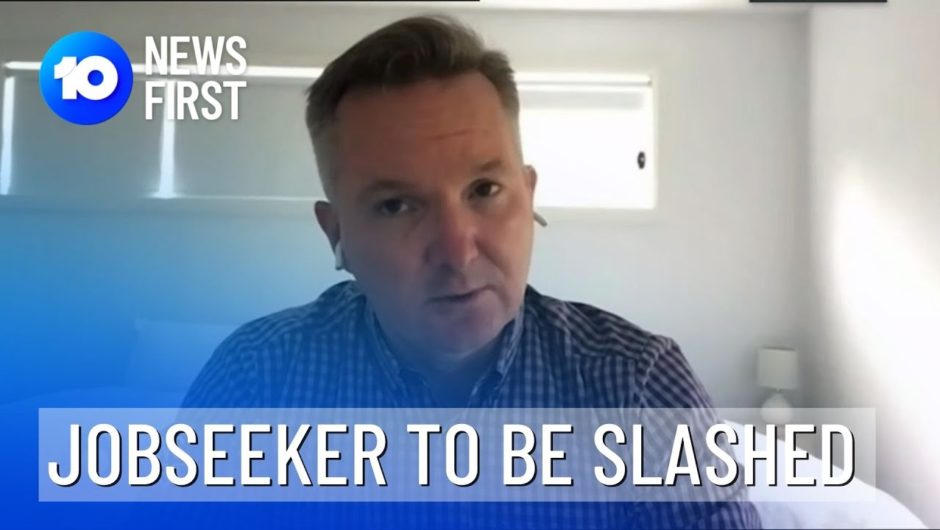 Government Criticised Over Slashes To JobSeeker | 10 News First