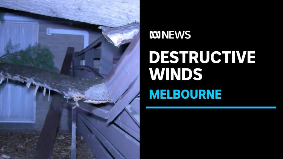 Trail of destruction in Victoria as damaging winds bite | ABC News