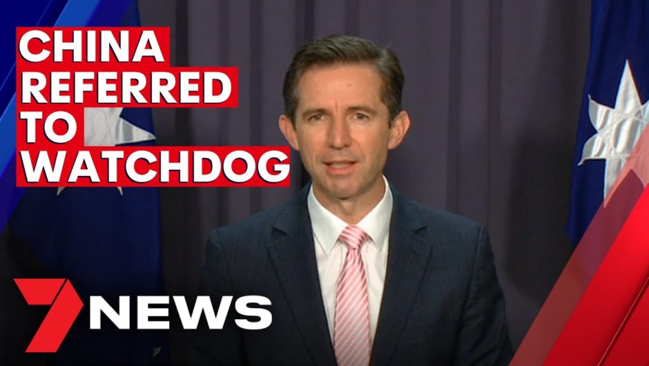 China has accused Australia of playing the victim in trade war | 7NEWS