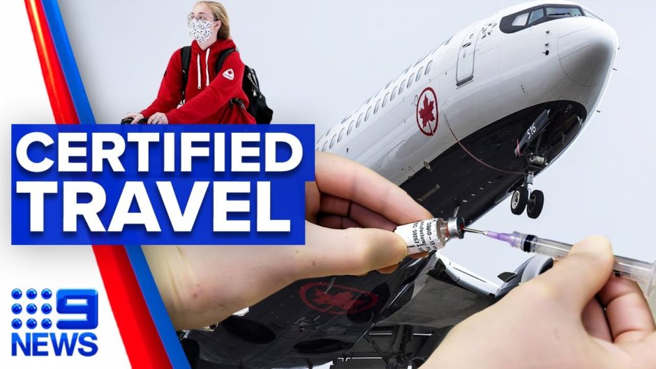 Coronavirus: New system discussed for international travel | 9 News Australia