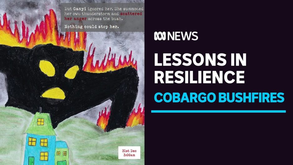 Cobargo kids dealing with bushfire tragedy teaching others a lesson in resilience | ABC News