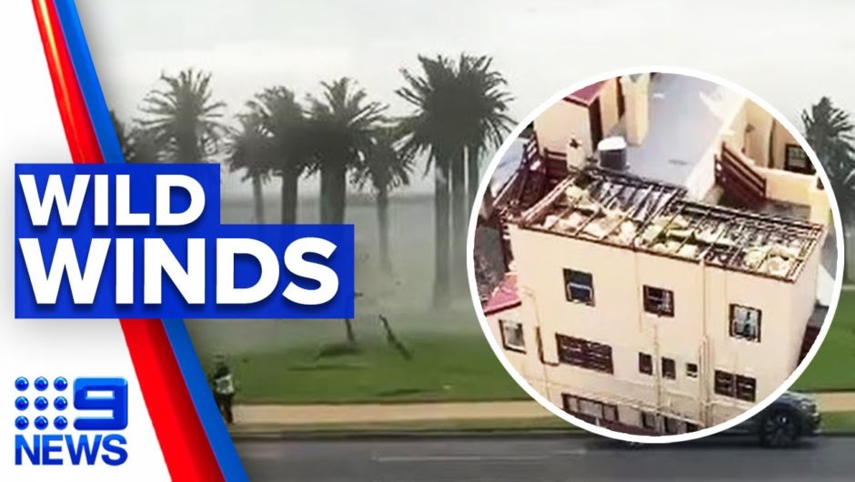 Clean-up underway after wild winds lash Melbourne | 9 News Australia