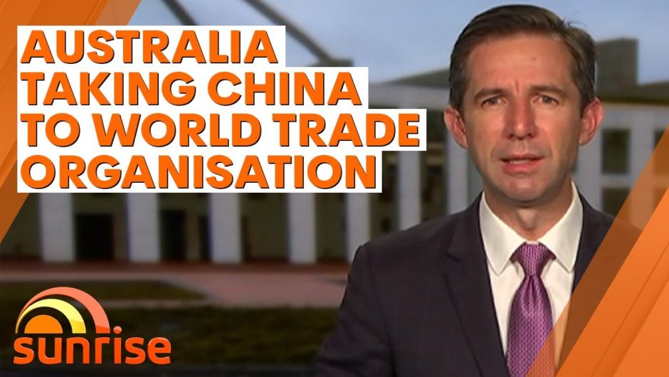 Australia officially taking China to the World Trade Organisation over tariffs | 7NEWS