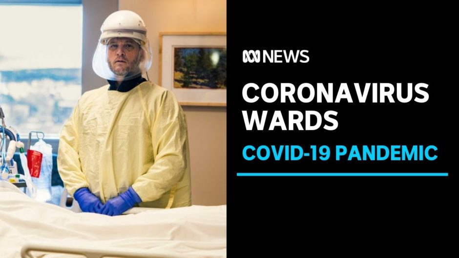 What's life like as an American doctor during COVID-19? | ABC News