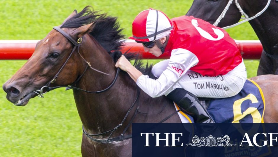 John O’Shea confident Southern Lad can go straight to the top