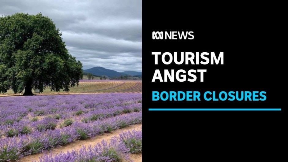 Tourism businesses struggle through summer as border situation remains uncertain | ABC News