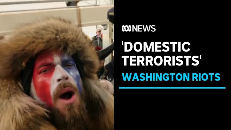 Pro-Trump mob declared 'domestic terrorists' as fallout from riots continues | ABC News