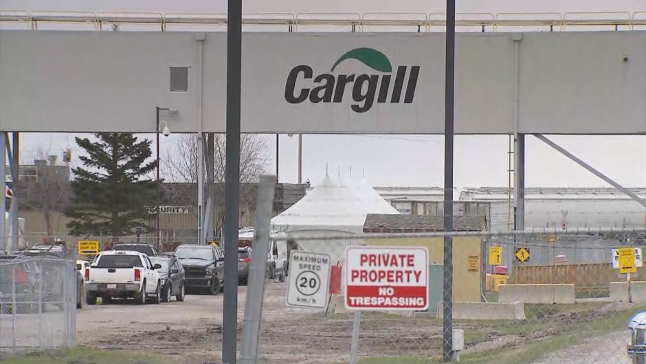 RCMP investigating death tied to Cargill COVID-19 outbreak