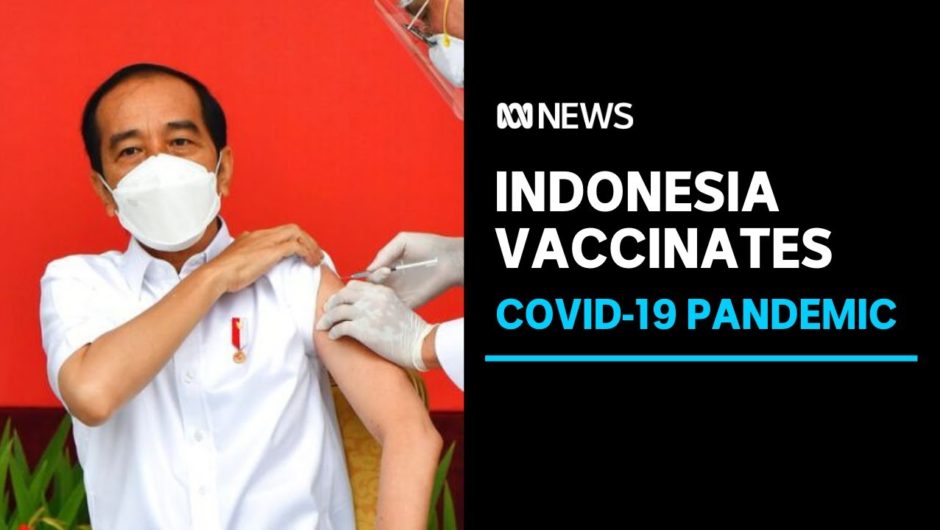 Indonesia's President receives China's controversial COVID vaccine as rollout begins | ABC News