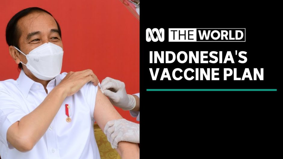 Concerns raised about the efficacy of a Chinese COVID vaccine being used in Indonesia | The World