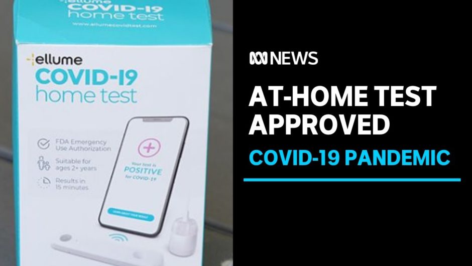Brisbane bio-tech firm granted $302 million contract to produce home COVID tests for US | ABC News