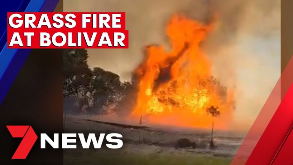 Emergency services on scene of grass fire at Bolivar | 7NEWS