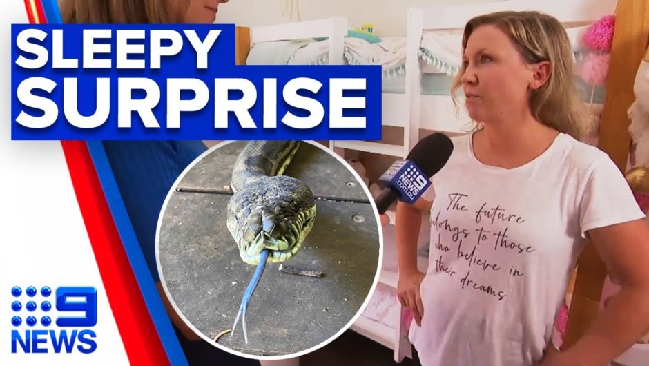 Mother discovers snake while putting children to sleep | 9 News Australia