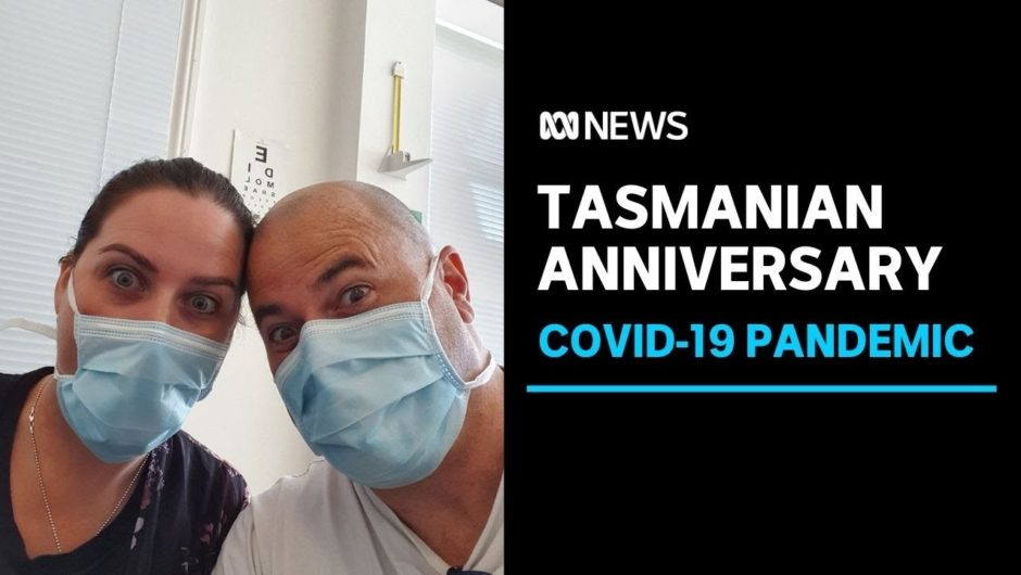 Tasmanians reflect on a year of living and working since COVID hit | ABC News