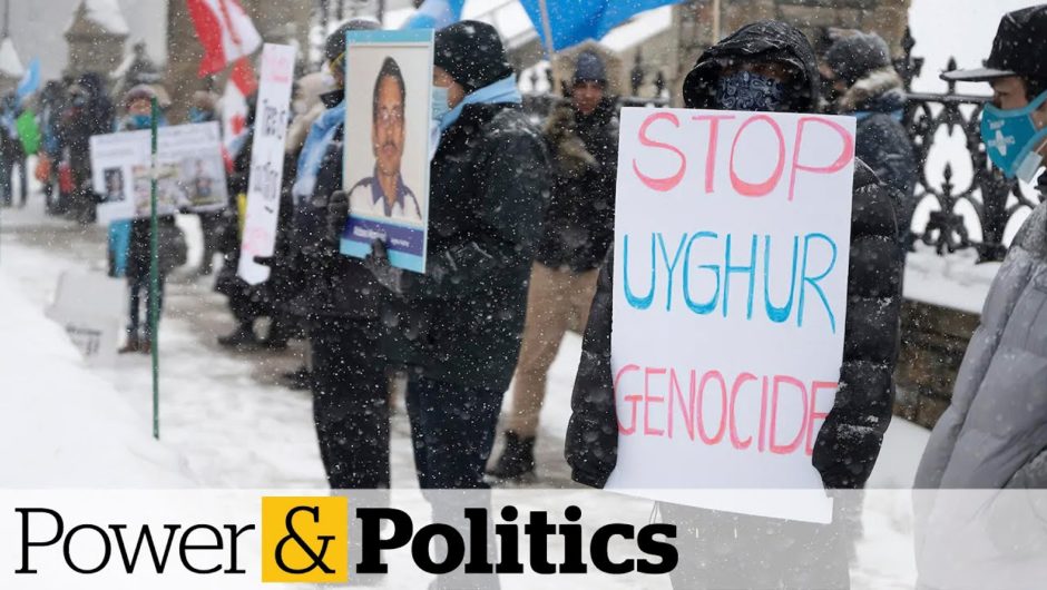 MPs vote to declare China's Uighur abuses a 'genocide'